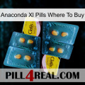 Anaconda Xl Pills Where To Buy cialis5